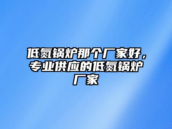 低氮鍋爐那個(gè)廠家好，專業(yè)供應(yīng)的低氮鍋爐廠家