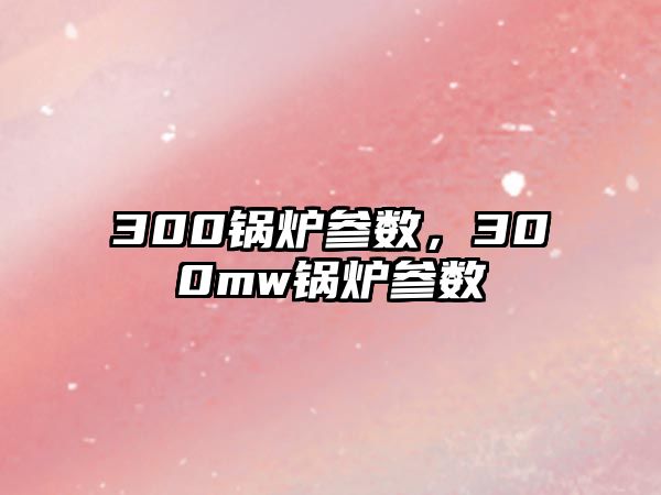 300鍋爐參數(shù)，300mw鍋爐參數(shù)