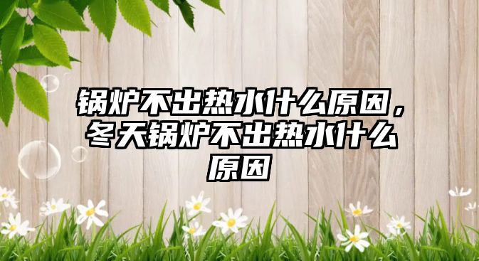 鍋爐不出熱水什么原因，冬天鍋爐不出熱水什么原因