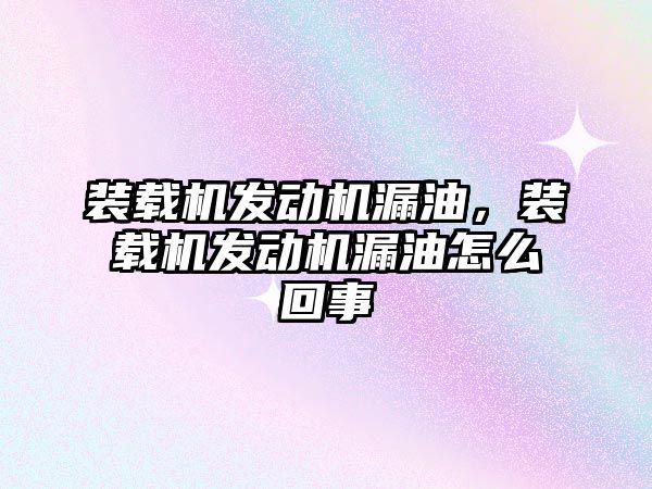 裝載機發(fā)動機漏油，裝載機發(fā)動機漏油怎么回事