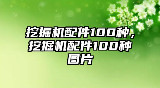 挖掘機配件100種，挖掘機配件100種圖片