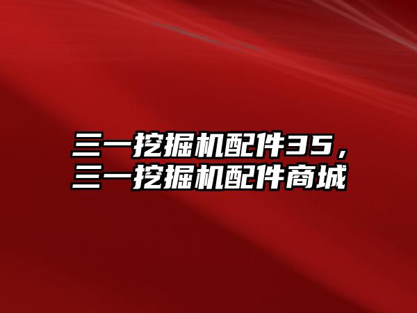 三一挖掘機(jī)配件35，三一挖掘機(jī)配件商城