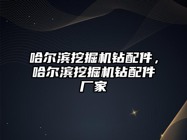 哈爾濱挖掘機鉆配件，哈爾濱挖掘機鉆配件廠家