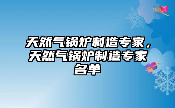 天然氣鍋爐制造專家，天然氣鍋爐制造專家名單