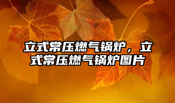 立式常壓燃?xì)忮仩t，立式常壓燃?xì)忮仩t圖片