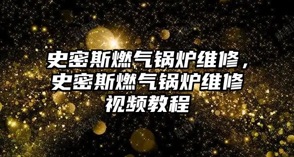 史密斯燃?xì)忮仩t維修，史密斯燃?xì)忮仩t維修視頻教程