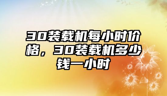 30裝載機每小時價格，30裝載機多少錢一小時