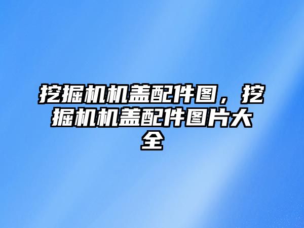 挖掘機機蓋配件圖，挖掘機機蓋配件圖片大全