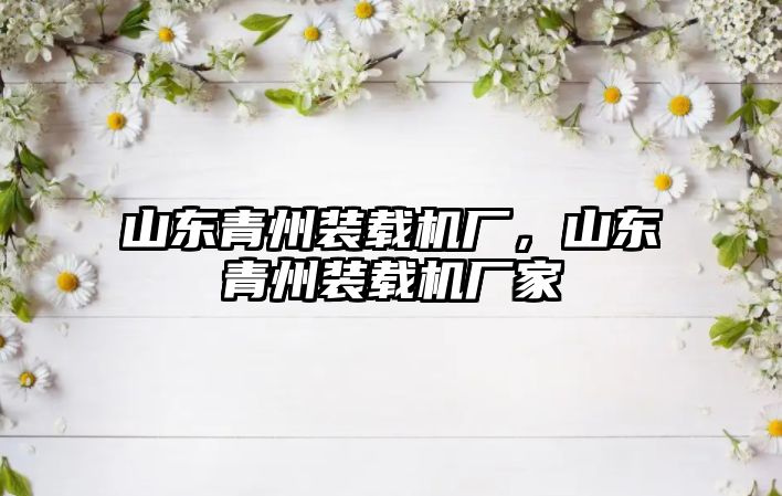 山東青州裝載機廠，山東青州裝載機廠家