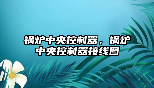 鍋爐中央控制器，鍋爐中央控制器接線圖