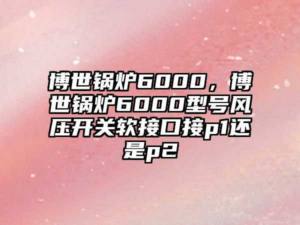 博世鍋爐6000，博世鍋爐6000型號(hào)風(fēng)壓開(kāi)關(guān)軟接口接p1還是p2