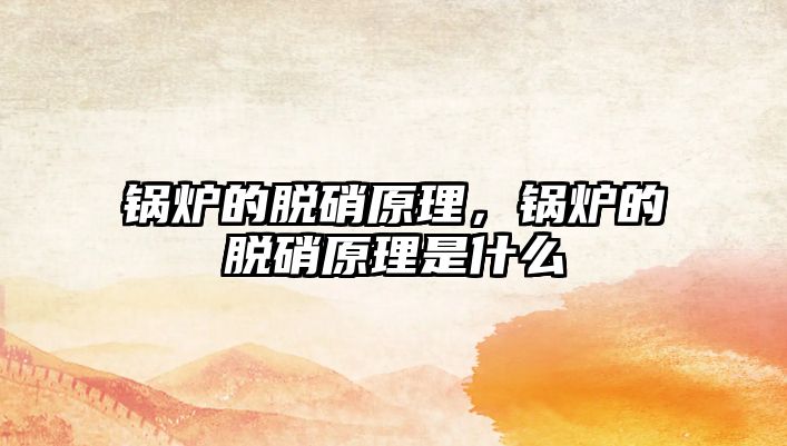 鍋爐的脫硝原理，鍋爐的脫硝原理是什么