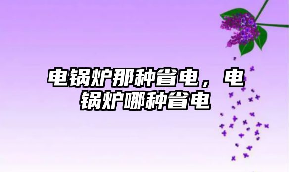 電鍋爐那種省電，電鍋爐哪種省電