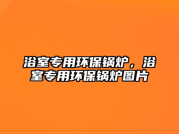 浴室專用環(huán)保鍋爐，浴室專用環(huán)保鍋爐圖片