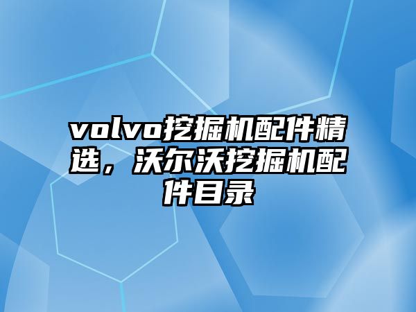 volvo挖掘機配件精選，沃爾沃挖掘機配件目錄