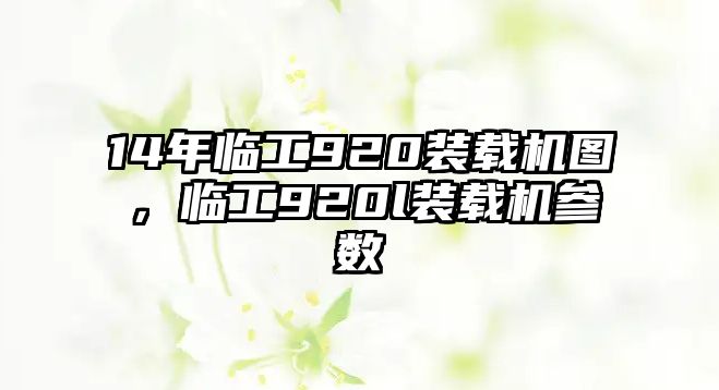 14年臨工920裝載機圖，臨工920l裝載機參數(shù)