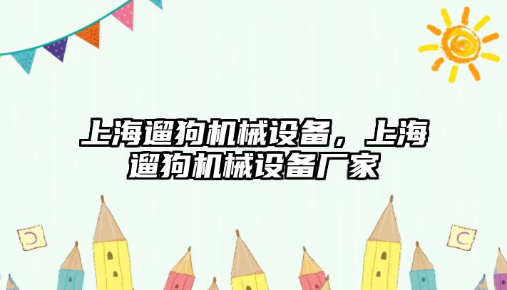 上海遛狗機(jī)械設(shè)備，上海遛狗機(jī)械設(shè)備廠家