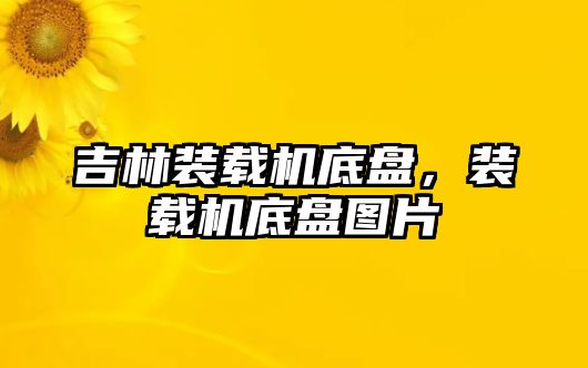 吉林裝載機底盤，裝載機底盤圖片