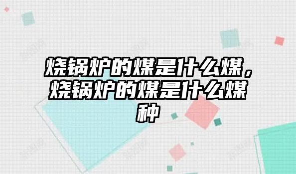 燒鍋爐的煤是什么煤，燒鍋爐的煤是什么煤種