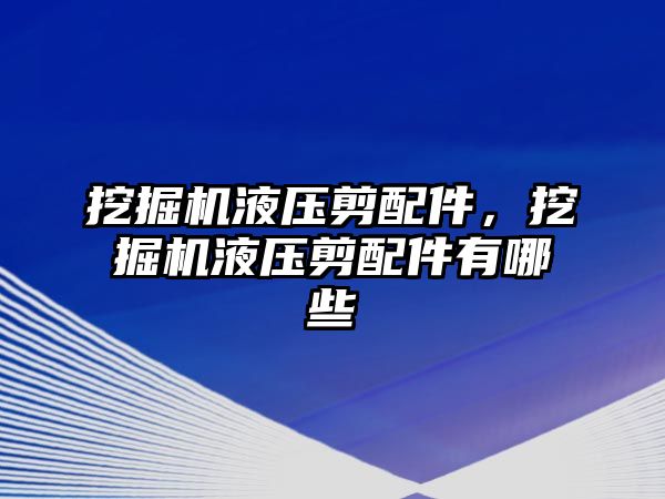 挖掘機液壓剪配件，挖掘機液壓剪配件有哪些