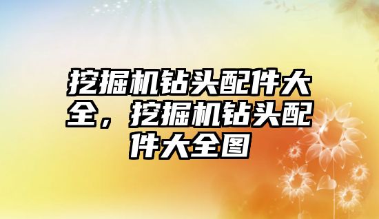 挖掘機鉆頭配件大全，挖掘機鉆頭配件大全圖