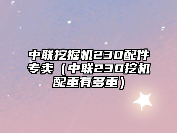 中聯(lián)挖掘機230配件專賣（中聯(lián)230挖機配重有多重）