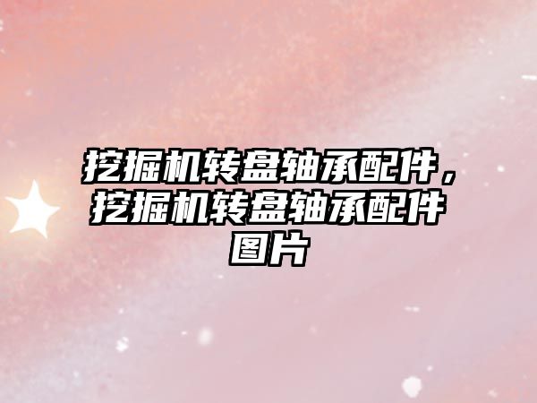 挖掘機轉(zhuǎn)盤軸承配件，挖掘機轉(zhuǎn)盤軸承配件圖片