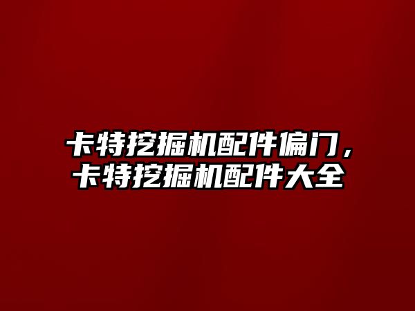 卡特挖掘機配件偏門，卡特挖掘機配件大全