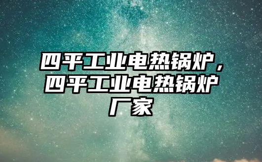 四平工業(yè)電熱鍋爐，四平工業(yè)電熱鍋爐廠家