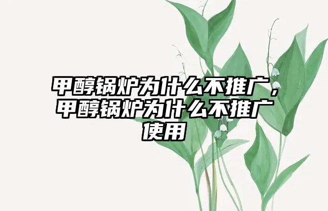 甲醇鍋爐為什么不推廣，甲醇鍋爐為什么不推廣使用