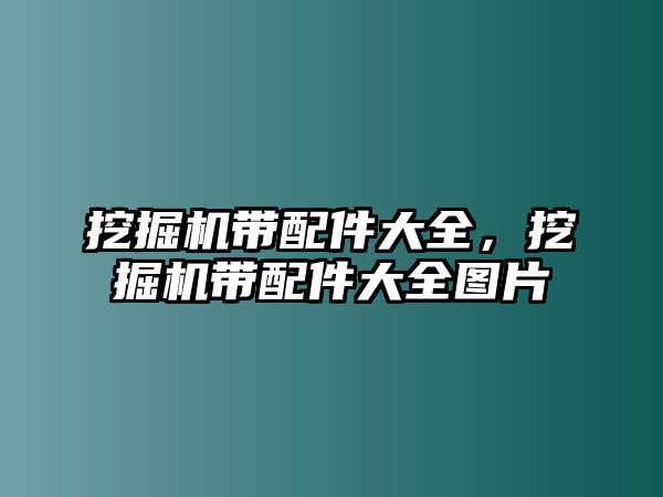 挖掘機帶配件大全，挖掘機帶配件大全圖片