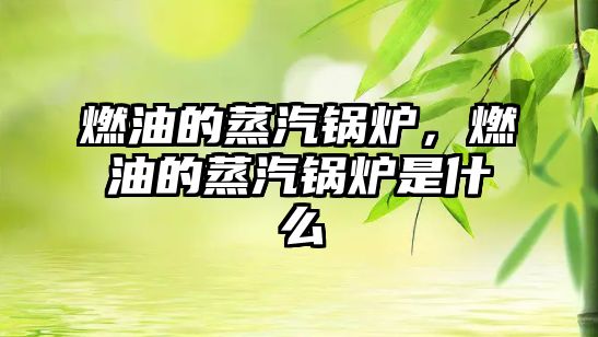 燃油的蒸汽鍋爐，燃油的蒸汽鍋爐是什么