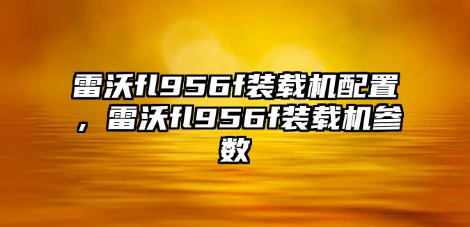 雷沃fl956f裝載機(jī)配置，雷沃fl956f裝載機(jī)參數(shù)