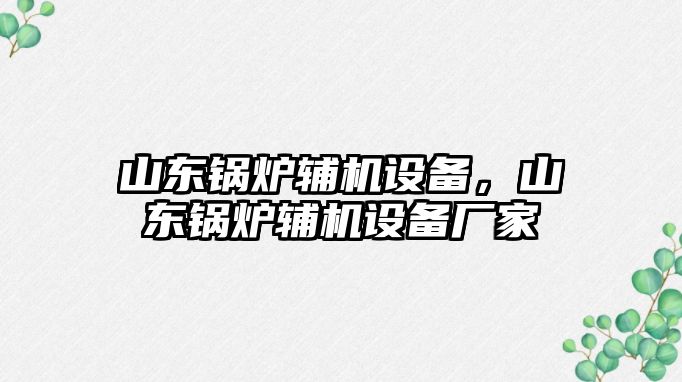 山東鍋爐輔機設(shè)備，山東鍋爐輔機設(shè)備廠家