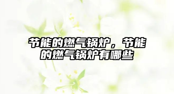 節(jié)能的燃?xì)忮仩t，節(jié)能的燃?xì)忮仩t有哪些