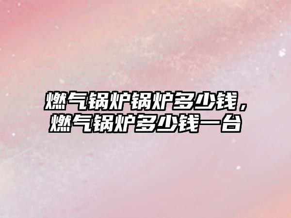 燃?xì)忮仩t鍋爐多少錢，燃?xì)忮仩t多少錢一臺