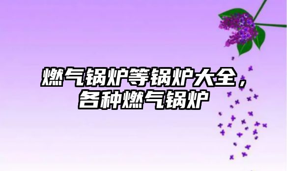 燃?xì)忮仩t等鍋爐大全，各種燃?xì)忮仩t