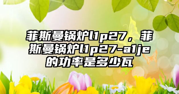 菲斯曼鍋爐l1p27，菲斯曼鍋爐l1p27-a1je的功率是多少瓦