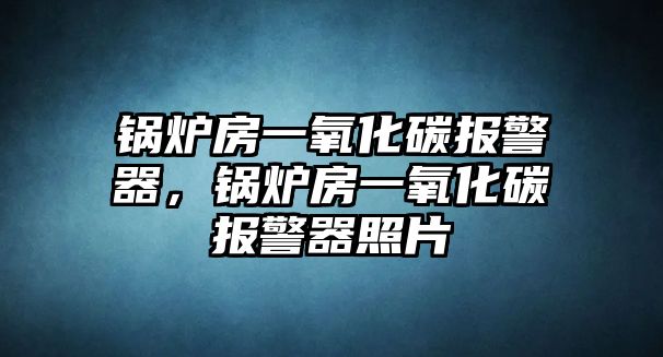 鍋爐房一氧化碳報(bào)警器，鍋爐房一氧化碳報(bào)警器照片