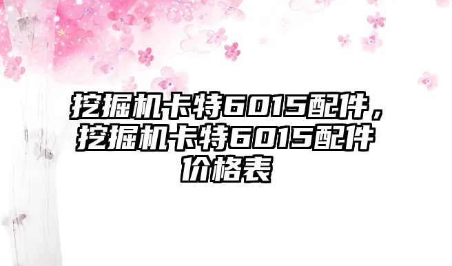 挖掘機(jī)卡特6015配件，挖掘機(jī)卡特6015配件價格表