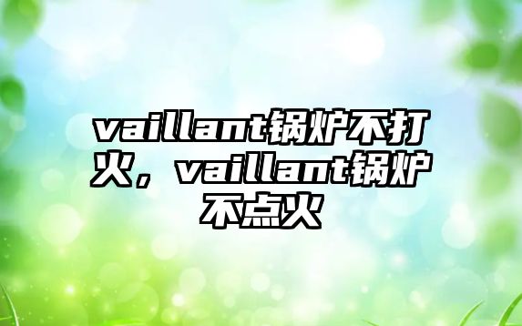 vaillant鍋爐不打火，vaillant鍋爐不點火