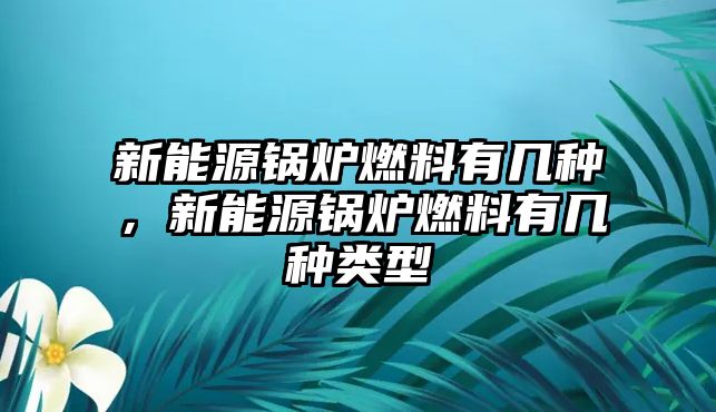 新能源鍋爐燃料有幾種，新能源鍋爐燃料有幾種類型