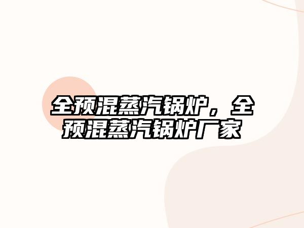 全預(yù)混蒸汽鍋爐，全預(yù)混蒸汽鍋爐廠家