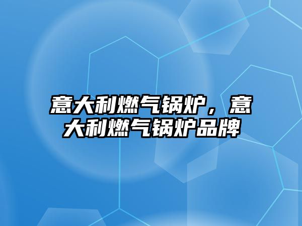 意大利燃?xì)忮仩t，意大利燃?xì)忮仩t品牌