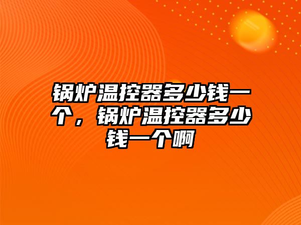 鍋爐溫控器多少錢一個，鍋爐溫控器多少錢一個啊