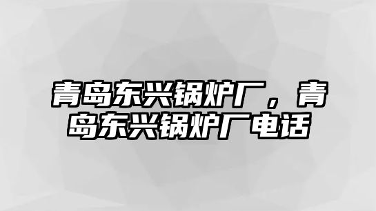 青島東興鍋爐廠，青島東興鍋爐廠電話