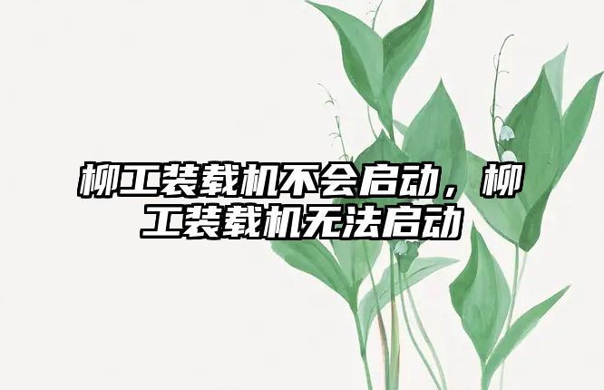 柳工裝載機不會啟動，柳工裝載機無法啟動