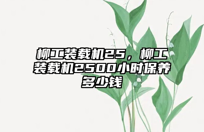 柳工裝載機(jī)25，柳工裝載機(jī)2500小時(shí)保養(yǎng)多少錢