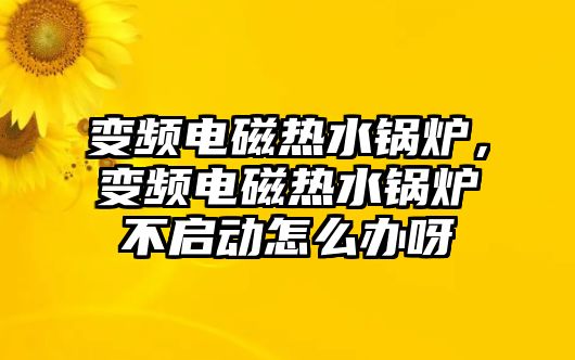 變頻電磁熱水鍋爐，變頻電磁熱水鍋爐不啟動(dòng)怎么辦呀