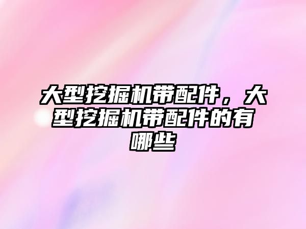 大型挖掘機帶配件，大型挖掘機帶配件的有哪些